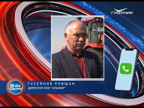 Поддержка МСП в условиях пандемии. О чем говорят