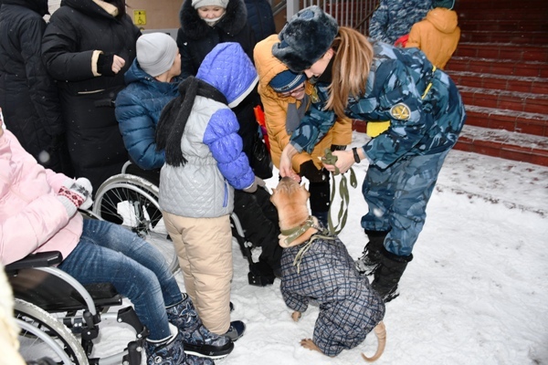 Немецкие овчарки, лабрадор, шарпей и йорк: в Самаре служебные собаки удивили детей-инвалидов трюками