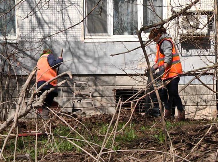 Мусорный кризис миновал: в Куйбышевском районе Самары вводят коммунальные новшества