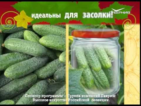 Обрезка плодовых деревьев. Удачные заметки от 27.03.2018