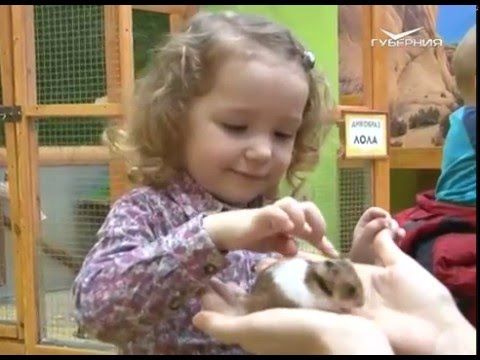 Азбука потребителя 18.02.2016