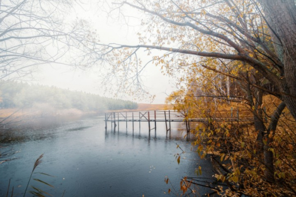 В Кошкинском районе планируют облагородить Гудковские пруды