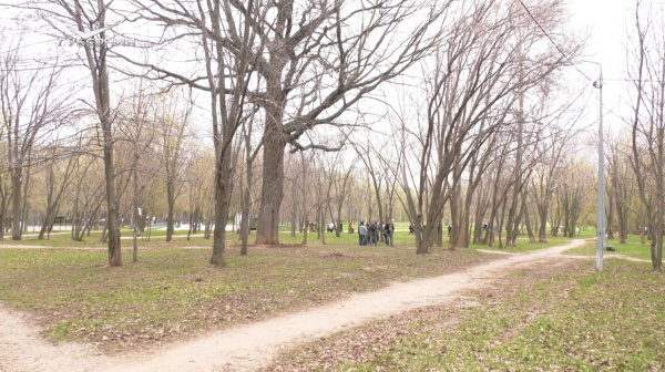 Самарцы привели в порядок территорию парка Воронежские озера