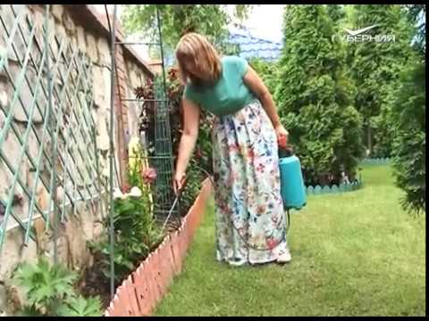 Удачные заметки 11.07.2017. Защита клубники. Органическое земледелие. Дачные советы