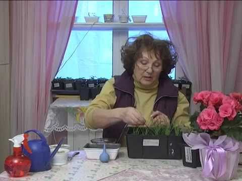 Дачные советы 19.03.2015 