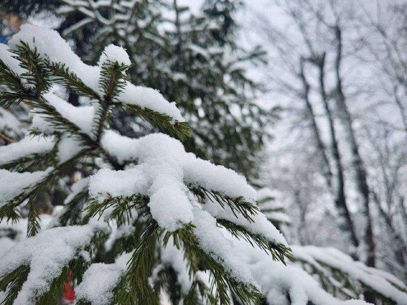 В Самарской области 3 февраля выпадет мокрый снег