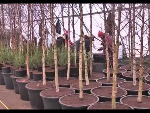 Дачные советы 19.02.2015 