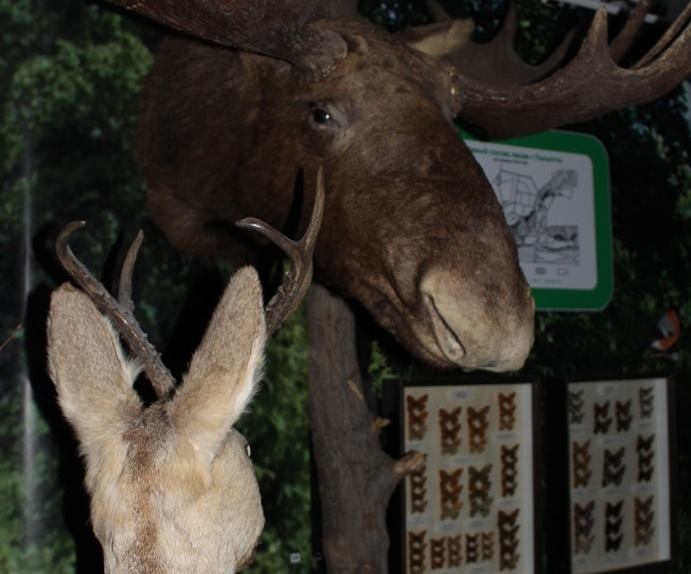 В Тольятти проводят экскурсии в темноте при свете фонарика