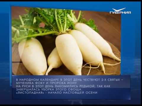 Календарь губернии 05.10.2017