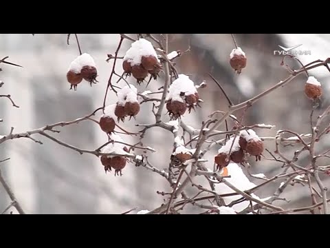 Как снизить метеозависимость. Школа здоровья