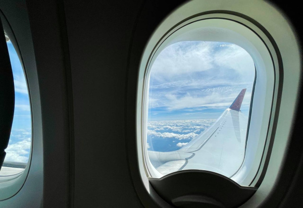 В Самарской области на радаре самолета заметили множество фантомных меток