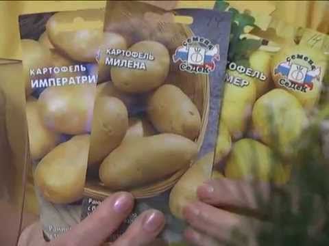 Дачные советы 15.01.2015 