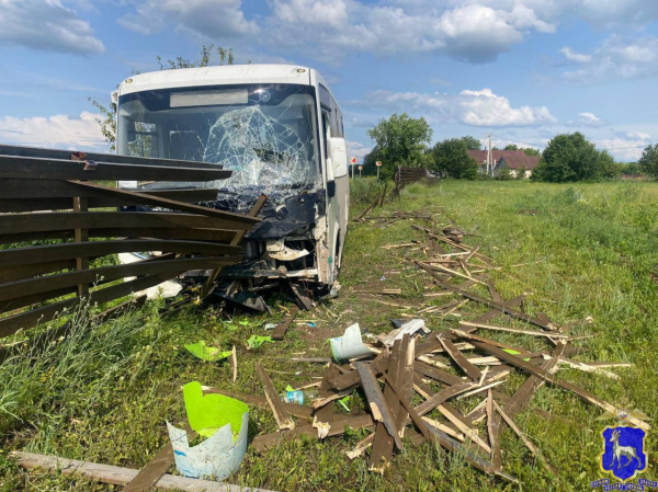 В Самарской области 18 июня автобус с пассажирами съехал в кювет из-за осы