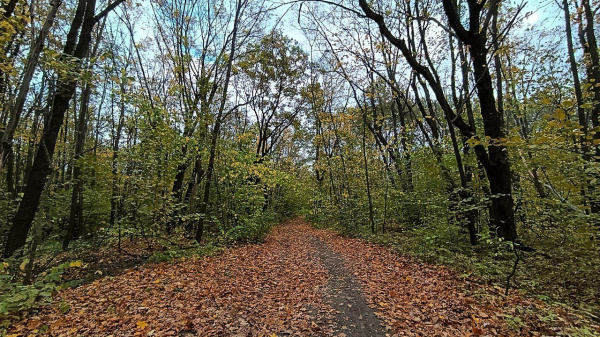 Народные приметы на 17 октября 2025 года: что нельзя делать в этот день