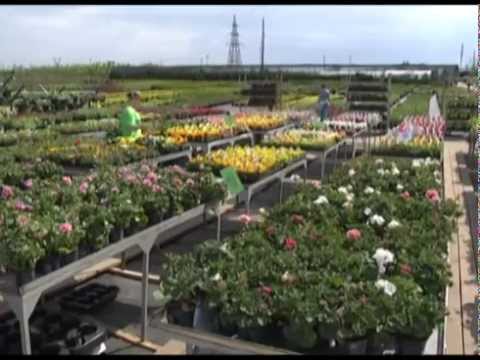 Дачные советы 22.05.2014