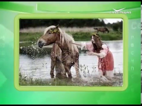 Календарь губернии 20.05.2016