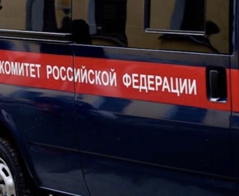 В Тольятти возбудили дело из-за нападения на полицейских на несанкционированных акциях