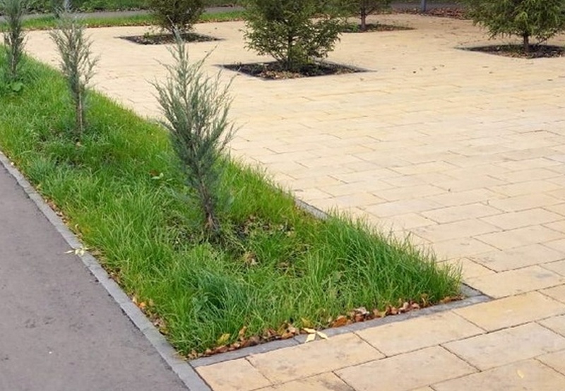 Жители Новокуйбышевска вносят предложения по реконструкции набережной в пос. Гранный 