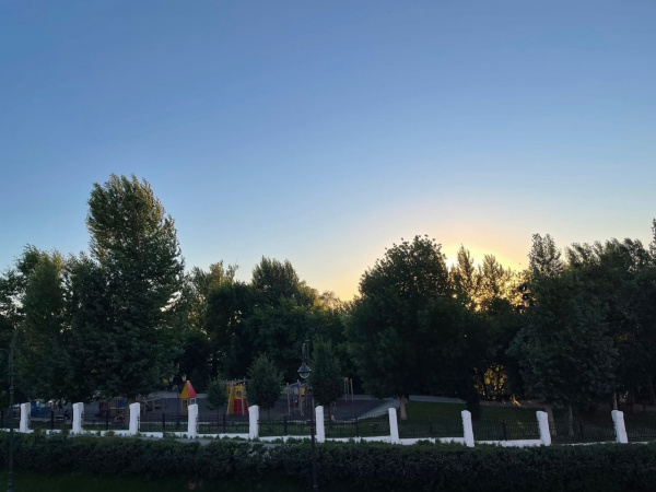 В День города в Самаре проведут игротеку для детей в Струковском саду