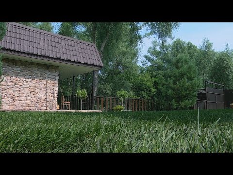 Как правильно уложить газон. Азбука потребителя