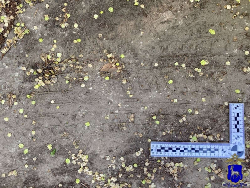 В Тольятти 14-летний подросток угнал автомобиль