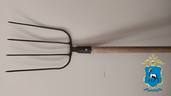 Не дал выкинуть траву: житель Самарской области грозился заколоть мужчину вилами