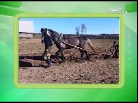 Календарь губернии 14.05.2016