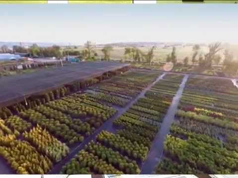 Дачные советы 29.01.2015 