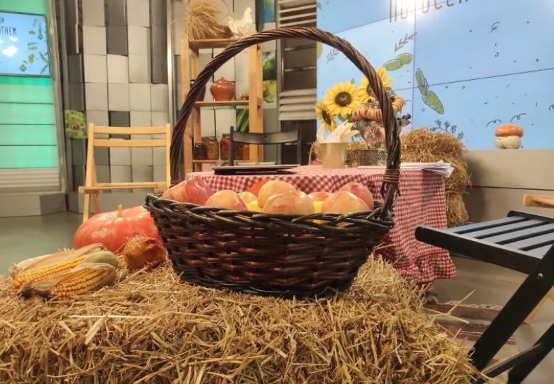 26 октября "Самара 450" проведет телевизионный агромарафон "По осени считаем"