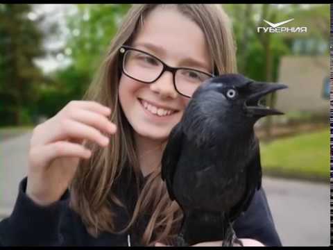 О доброте и заботе. Утро Губернии