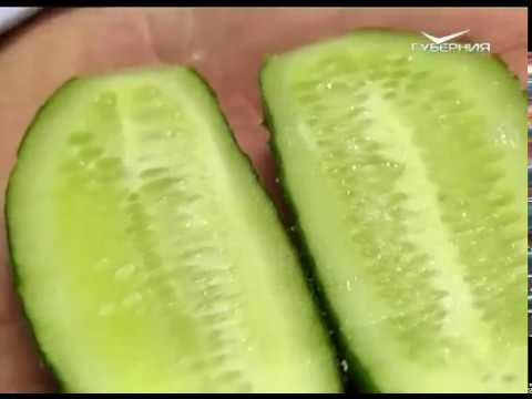 Огурцы, посадочный материал и древесная зола. Удачные заметки от 08.05.2018