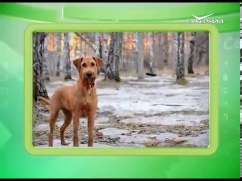 Календарь губернии 11.03.2016