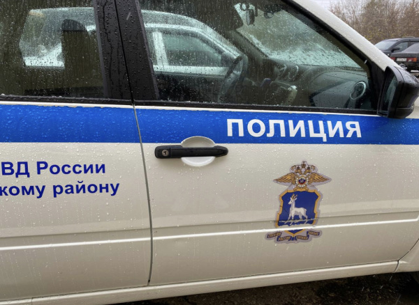 В Тольятти задержали 40-летнего мужчину, укравшего продукты из магазина