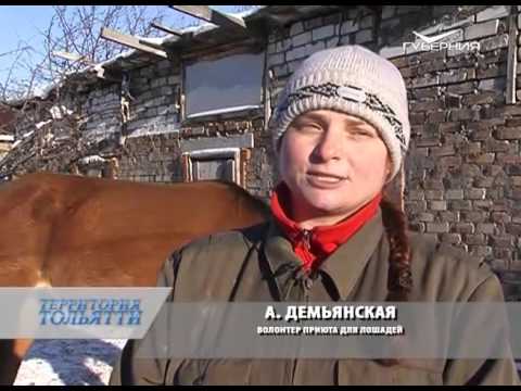 Территория Тольятти 24.01.2016