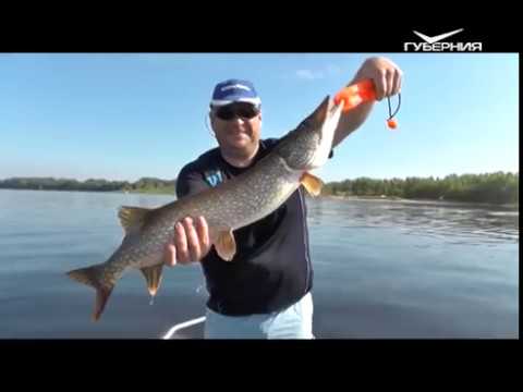 Ловим леща на фидер. Рыбацкое счастье от 17.07.2018