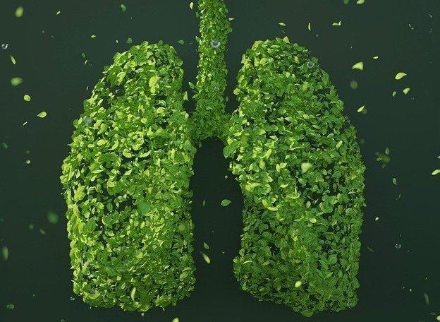 40 канцерогенов и нейротоксический яд: эксперт рассказал, как избавиться от курения (12+)