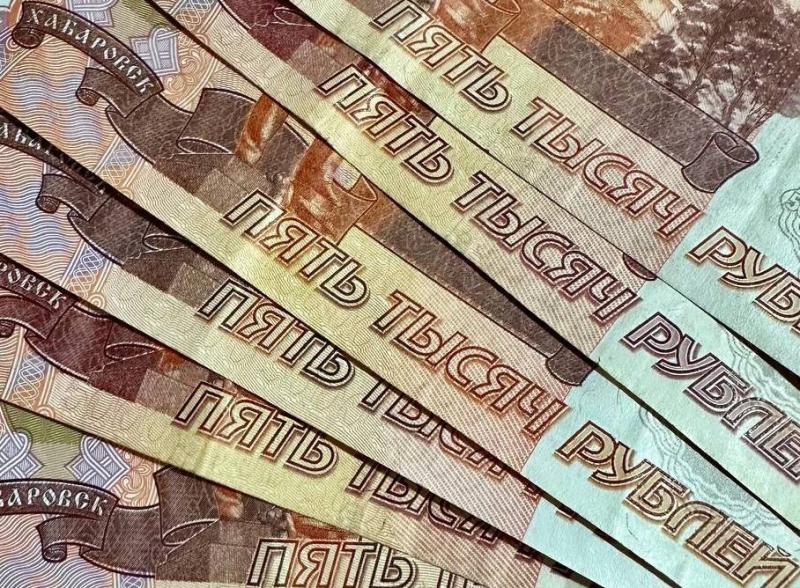 В Самарской области по итогам рейдов должники заплатили 700 тысяч рублей 