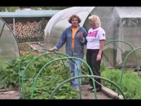 Дачные советы 12.09.2013 