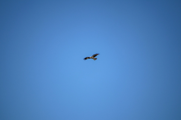 Народные приметы на 26 августа 2025 года: что нельзя делать в этот день