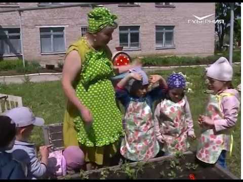 Удачные заметки 06.06.2017. Дачные советы. Капельный полив. Защита от вредителей. Миксбордер