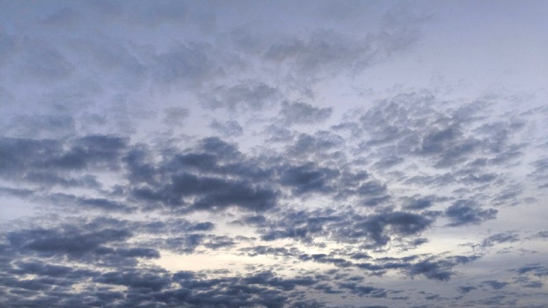 Облачно и тепло: стало известно, какая будет погода в Самарской области 31 марта