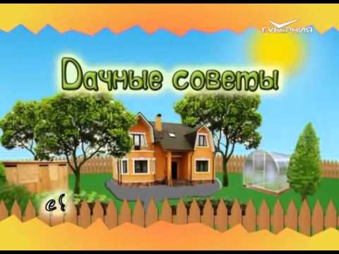 Дачные советы 28.01.2016