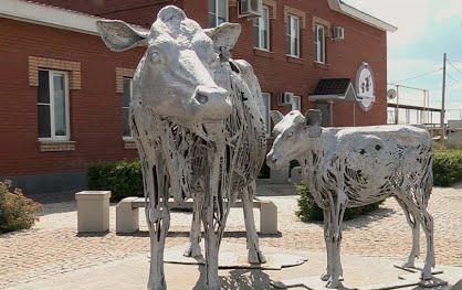 Новокуровская молочная ферма. Самарское - значит наше!