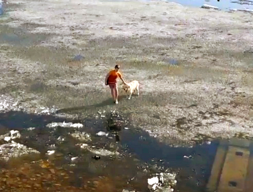 В Тольятти школьник спас с дрейфующей льдины свою собаку