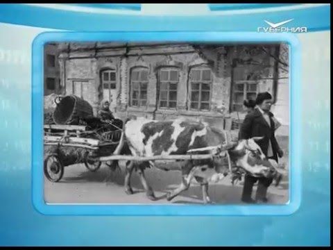 Календарь губернии 27.02.2016