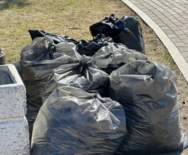 За неделю месячника благоустройства в Тольятти собрали 826 тонн мусора