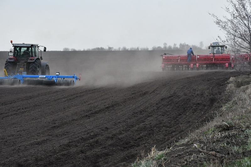 Своих семян хватит: аграрии Самарской области рассказали об удачных стечениях обстоятельств в 2022 году