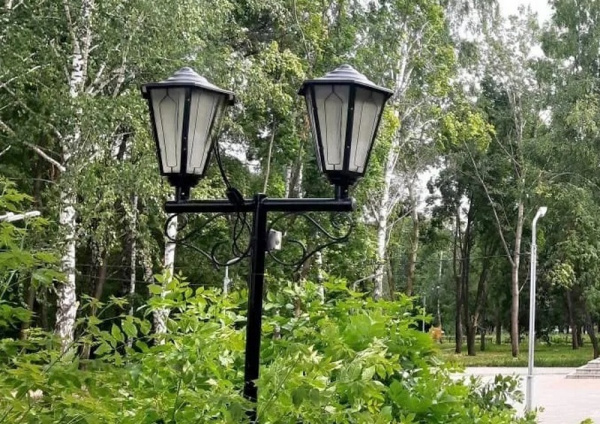 В Богатовском районе собираются улучшить освещение сельских улиц 