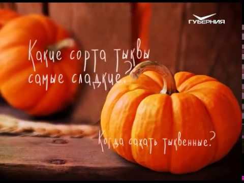 Удачные заметки 13.06.2017. Дачные советы. Реанимация овощной рассады. Капельный полив