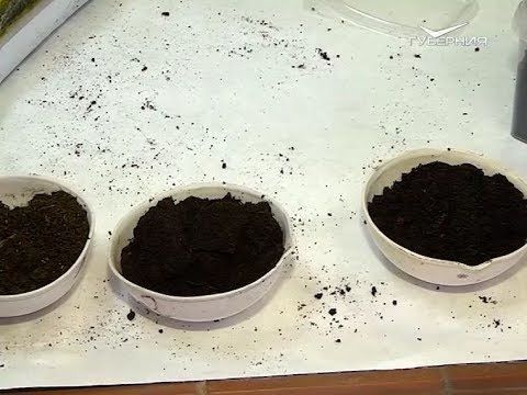 Делаем почвосмесь своими руками. Удачные заметки